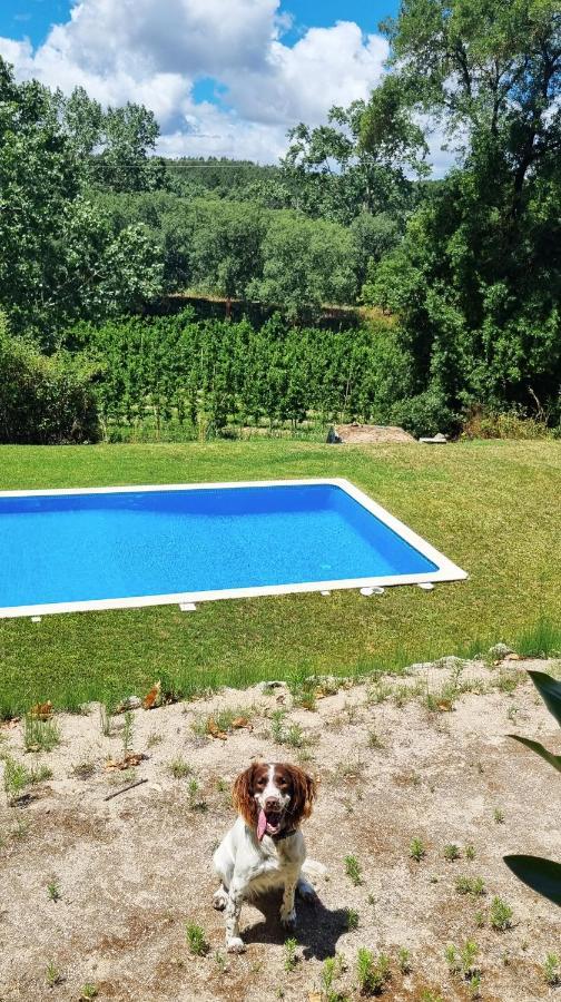 Villa Quinta Do Sanguinhal à Rio Maior Extérieur photo
