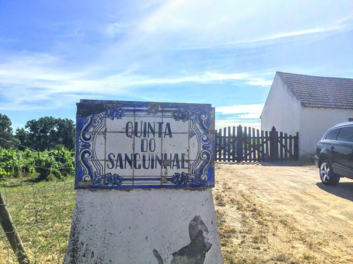Villa Quinta Do Sanguinhal à Rio Maior Extérieur photo