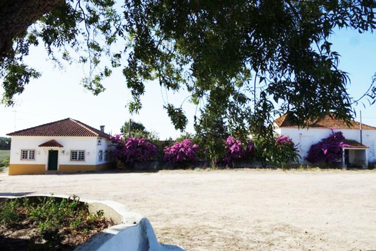 Villa Quinta Do Sanguinhal à Rio Maior Extérieur photo